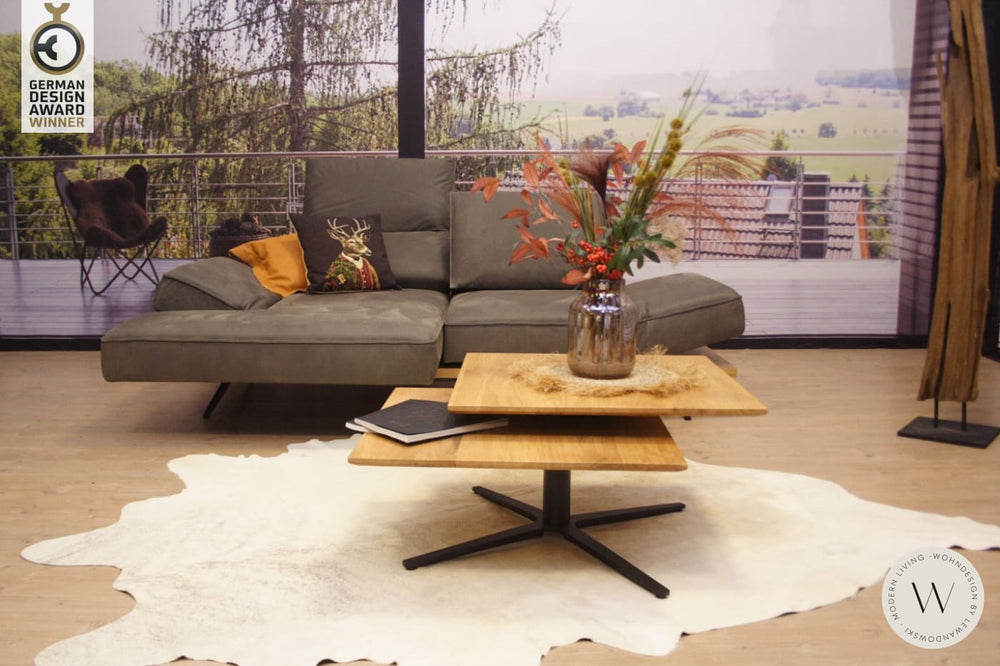 Modell Phönix Sofa E1PL in Leder A India spider Koinor