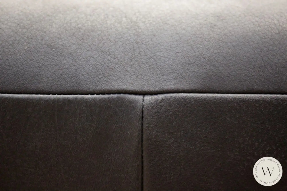 Drehsessel Modell Icarus (2 Stück) in Leder A India omega Koinor