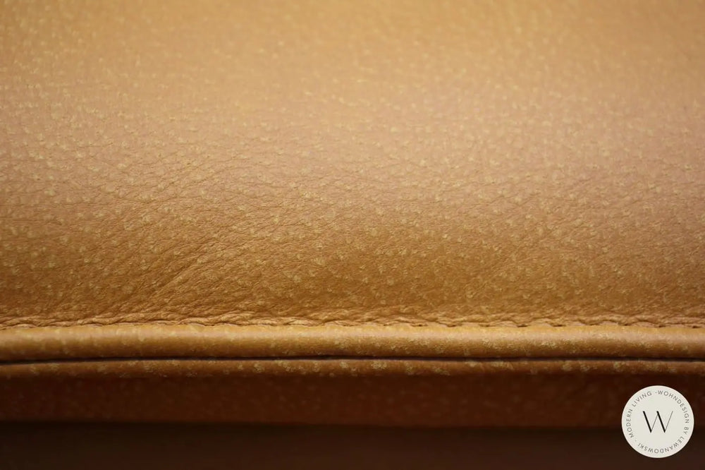 Modell Edon C2 Sofa in Leder A India sun Koinor