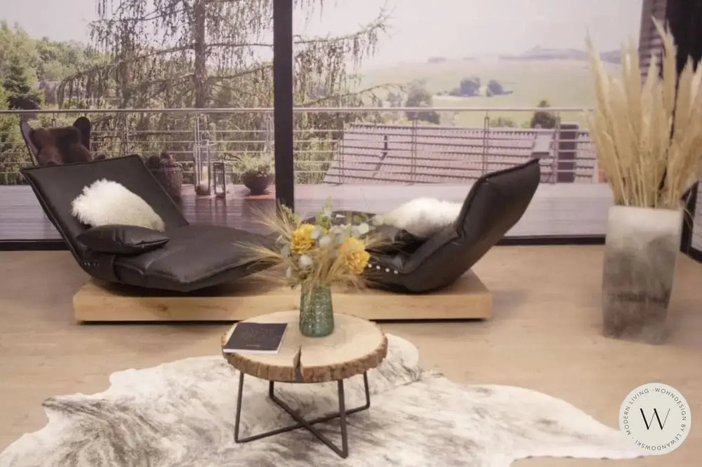 Modell Epos 3 in Mikrofaser Bison 89 Koinor