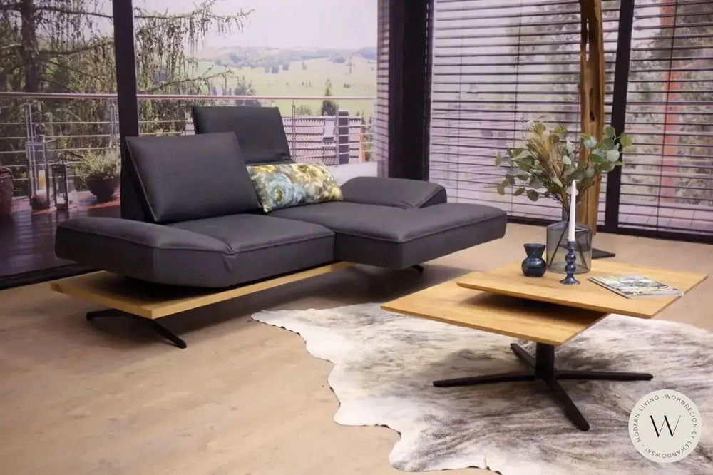 Modell Phönix Leder A India omega Koinor