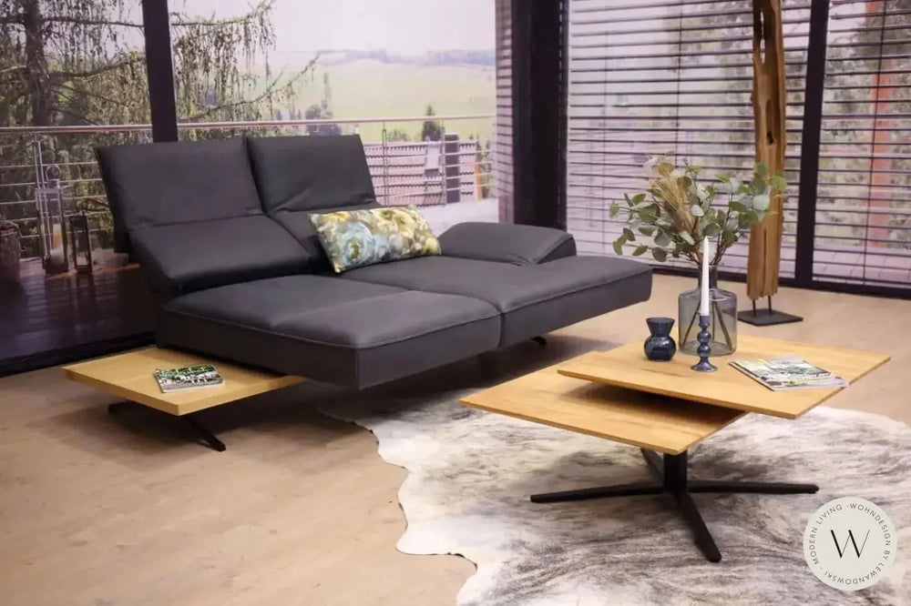 Modell Phönix Leder A India omega Koinor