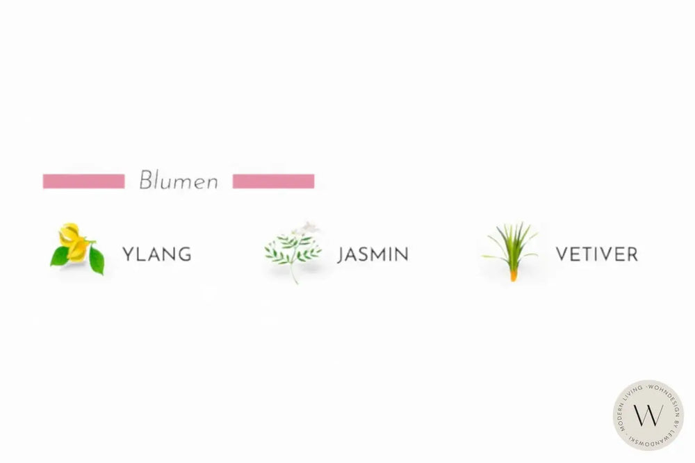 Raumduft Les Exclusives Roseum 500 ml Baobab Collection