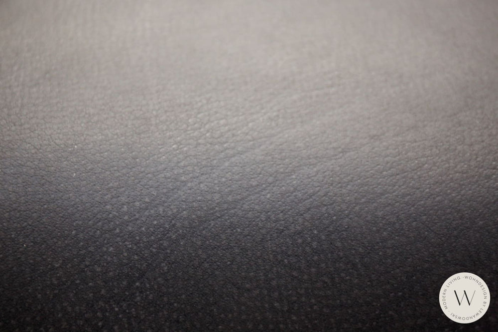 Drehsessel Modell Icarus (2 Stück) in Leder A India omega Koinor