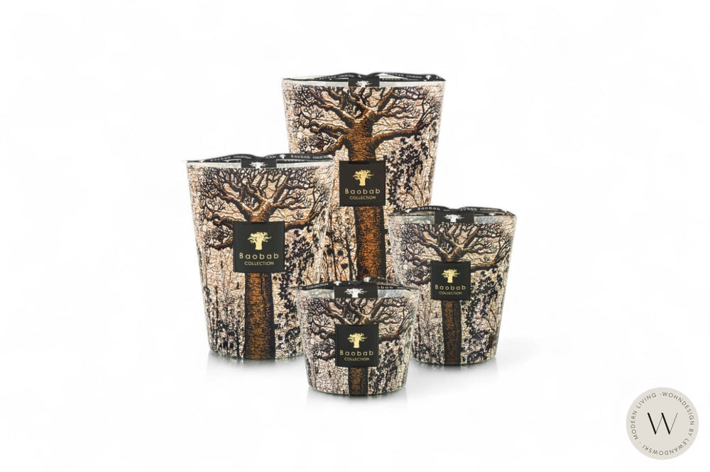 Duftkerze Sacred Trees Morondo Max 10 Baobab Collection