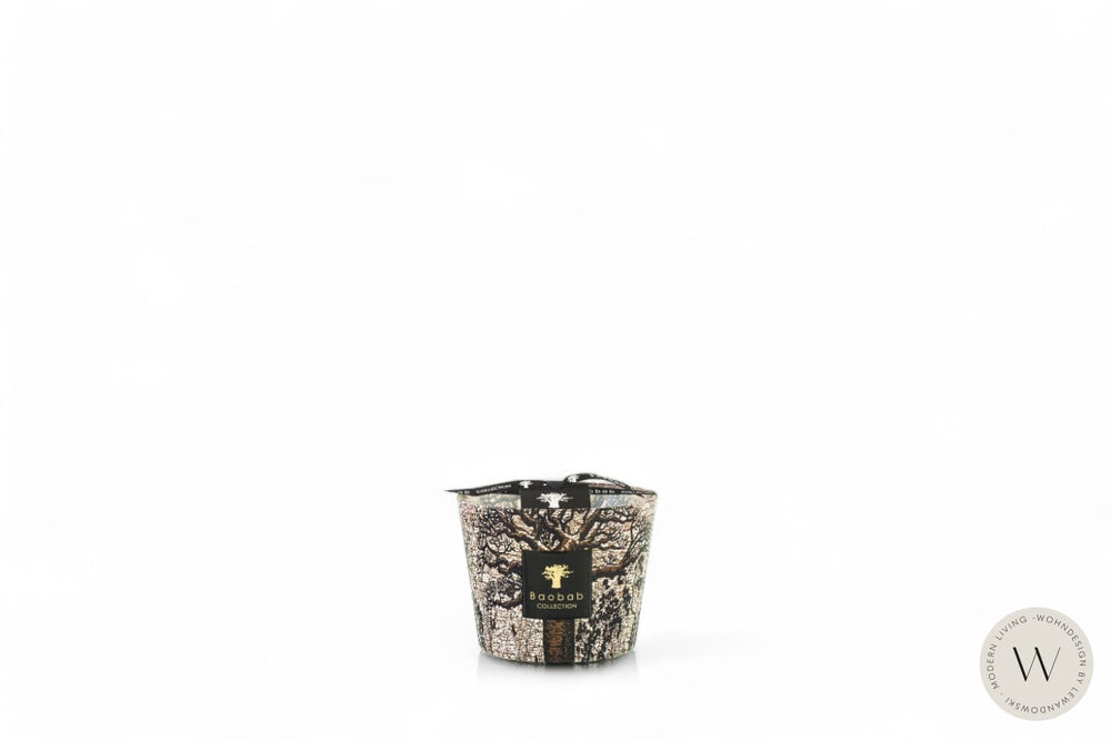 Duftkerze Sacred Trees Morondo Max 10 Baobab Collection