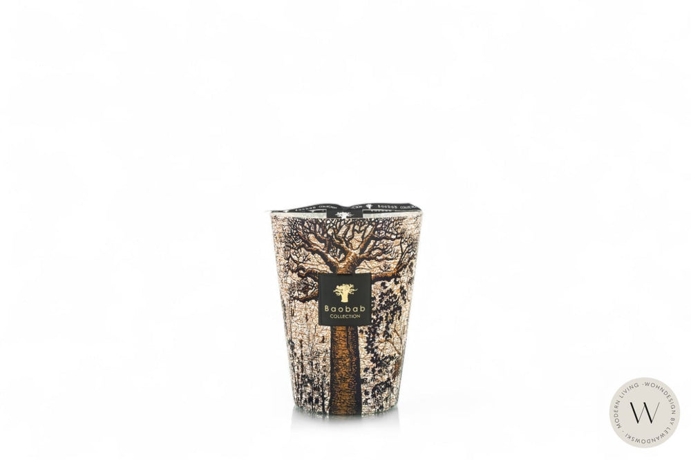 Duftkerze Sacred Trees Morondo Max 24 Baobab Collection