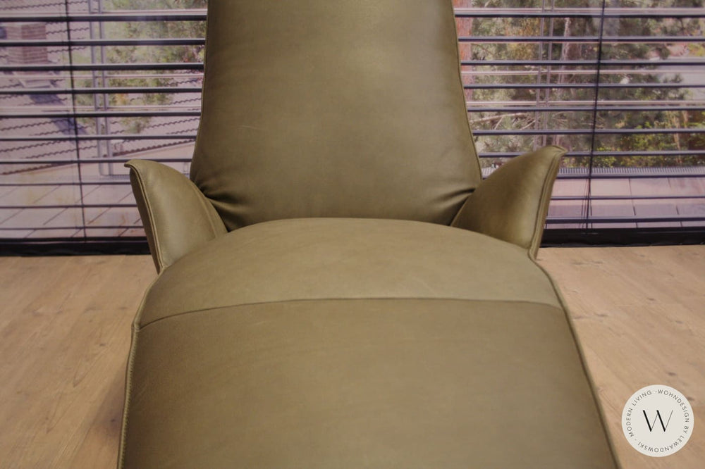 Joleen Relaxliege P4 elektrisch mit Akku Leder B Toro cactus Koinor