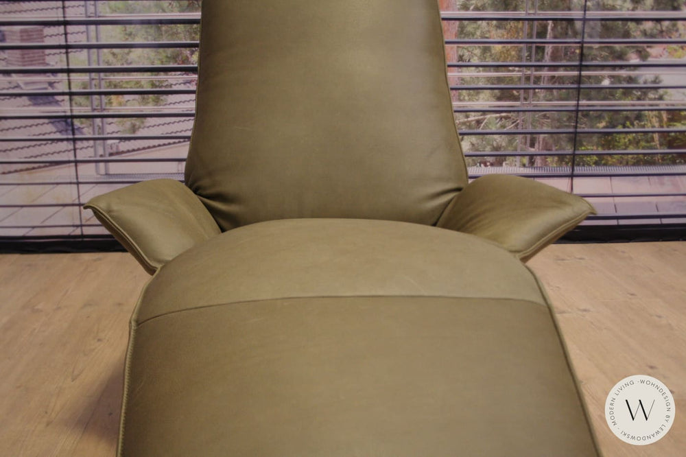 Joleen Relaxliege P4 elektrisch mit Akku Leder B Toro cactus Koinor