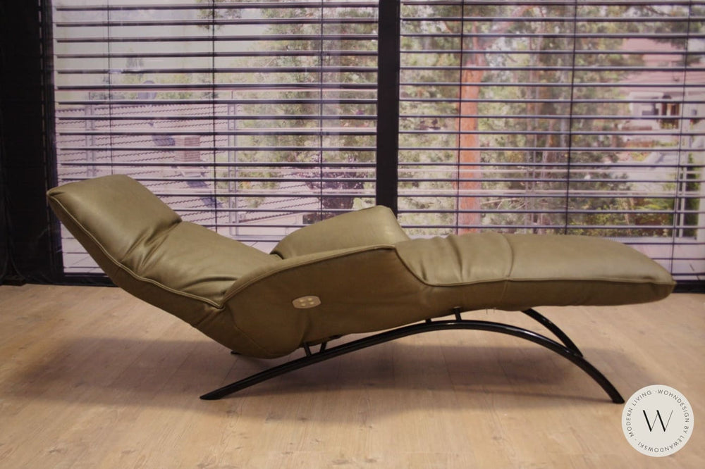 Joleen Relaxliege P4 elektrisch mit Akku Leder B Toro cactus Koinor