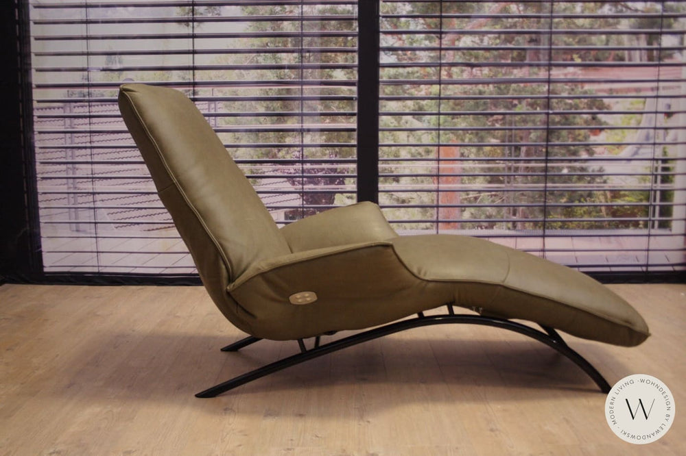 Joleen Relaxliege P4 elektrisch mit Akku Leder B Toro cactus Koinor