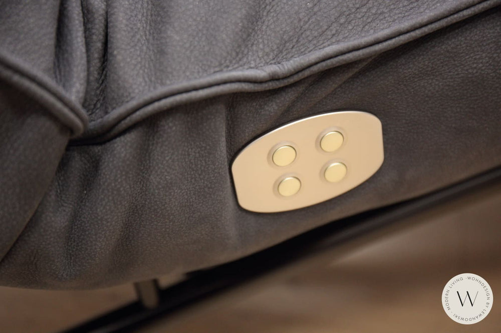 Jonas Relaxliege P4 elektrisch in Leder A India omega Koinor