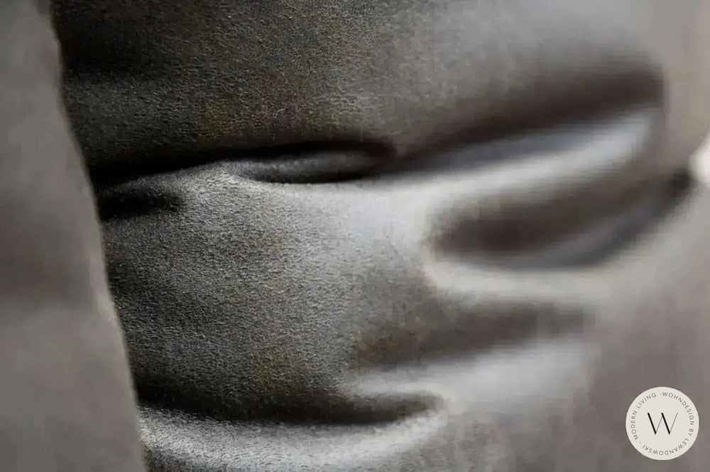 Modell Francis in Mikrofaser Bison 89 Koinor